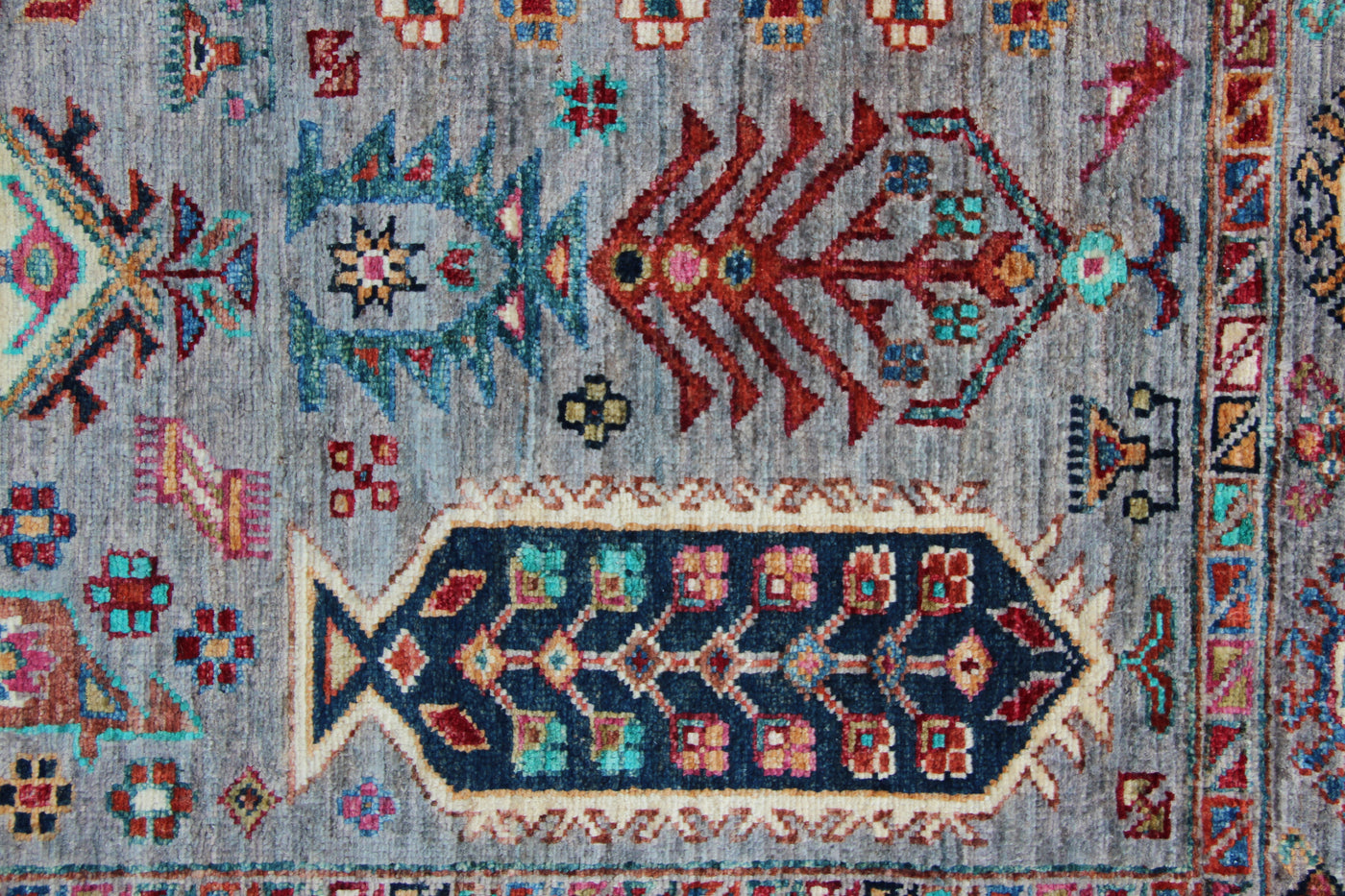 AFGHAANS SHASAVAN
