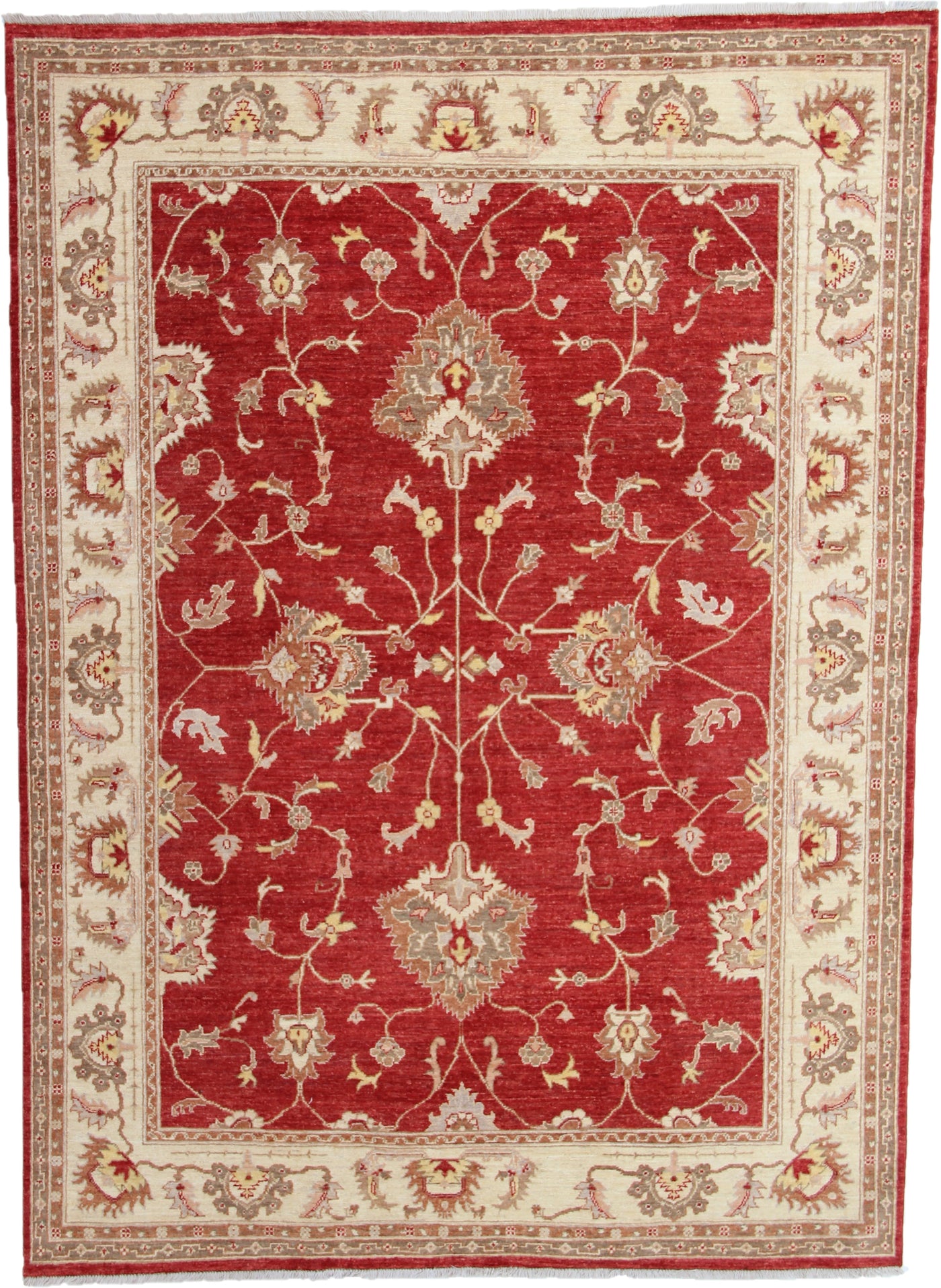 Samarkand Ziegler