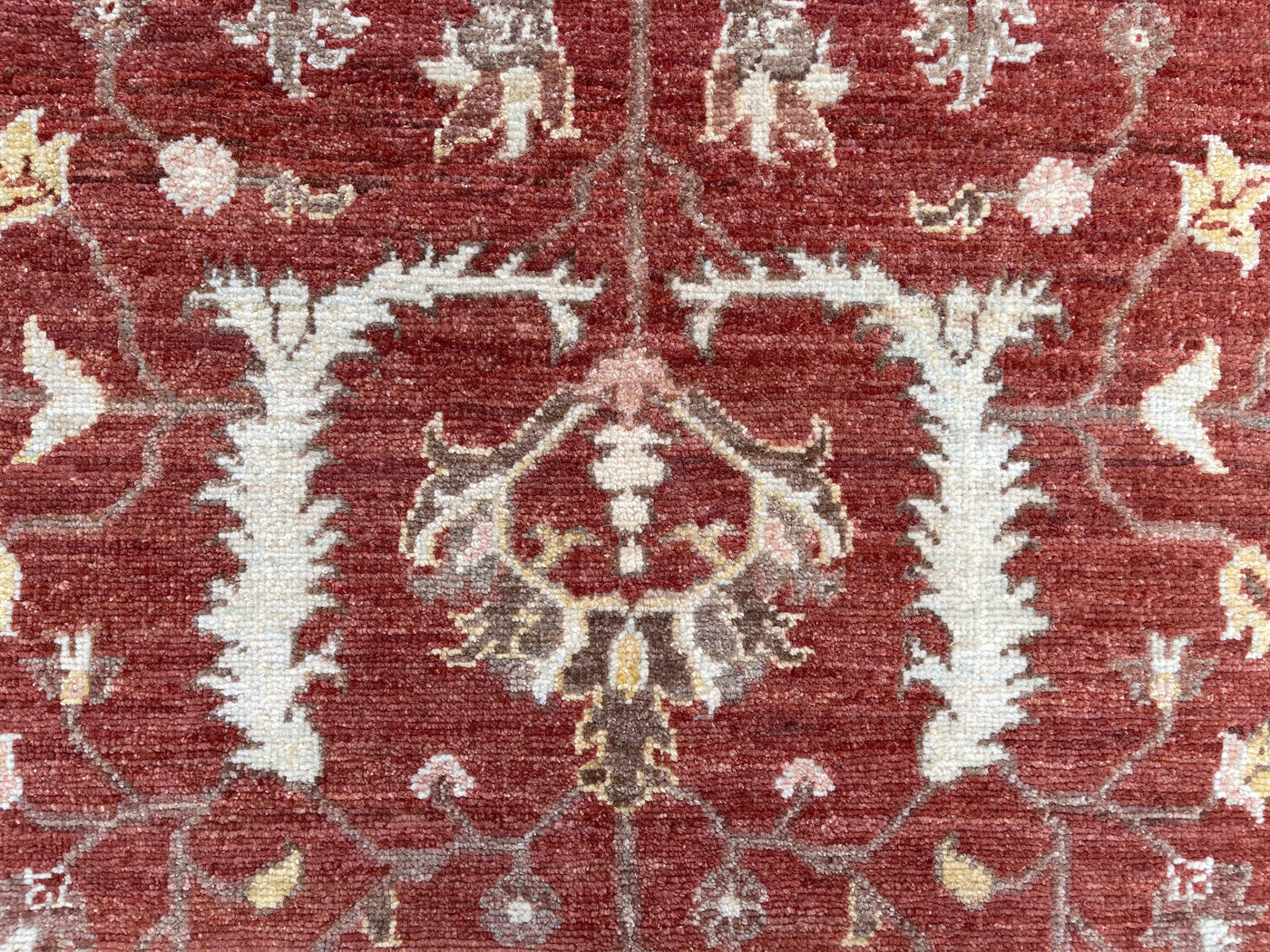 Afghaan Ziegler