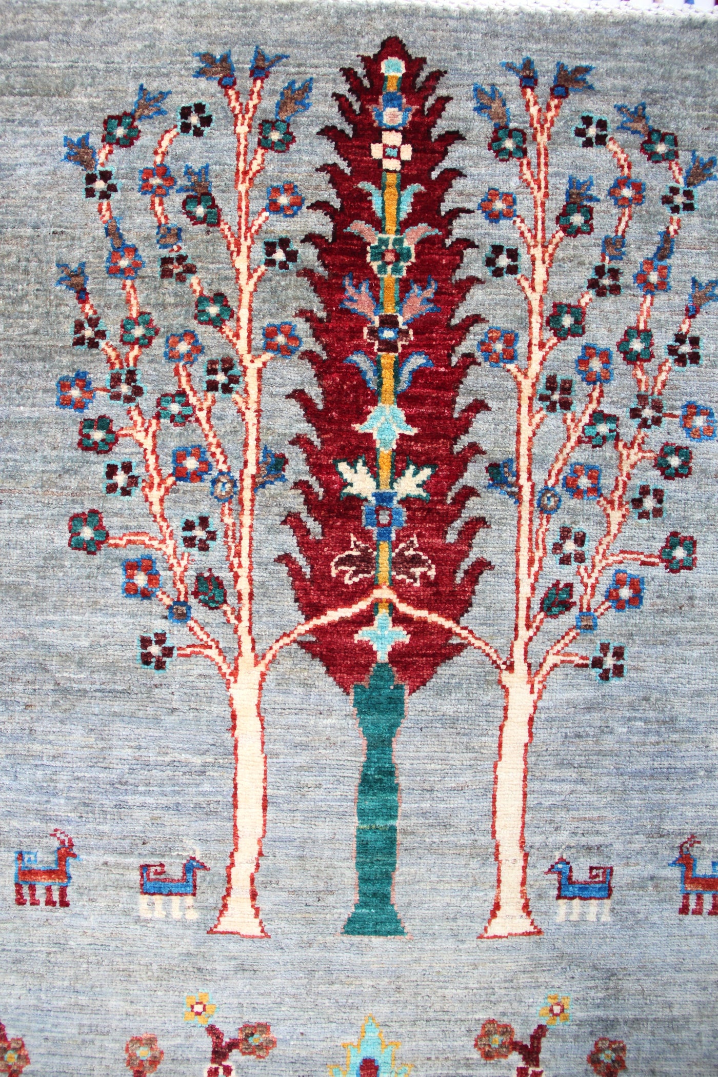 Afghaan Shasavan