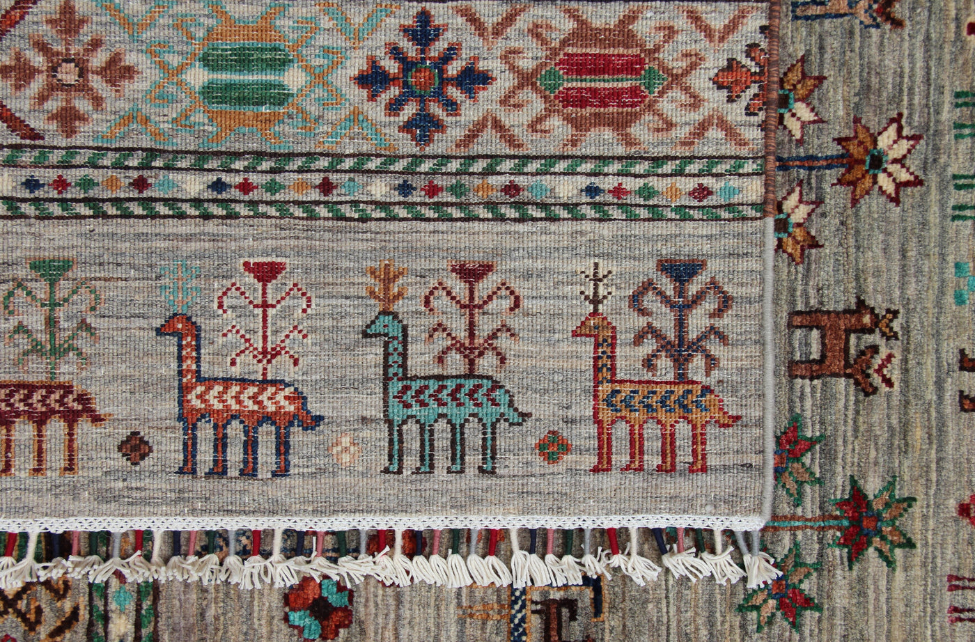 Afghaanse Shasavan