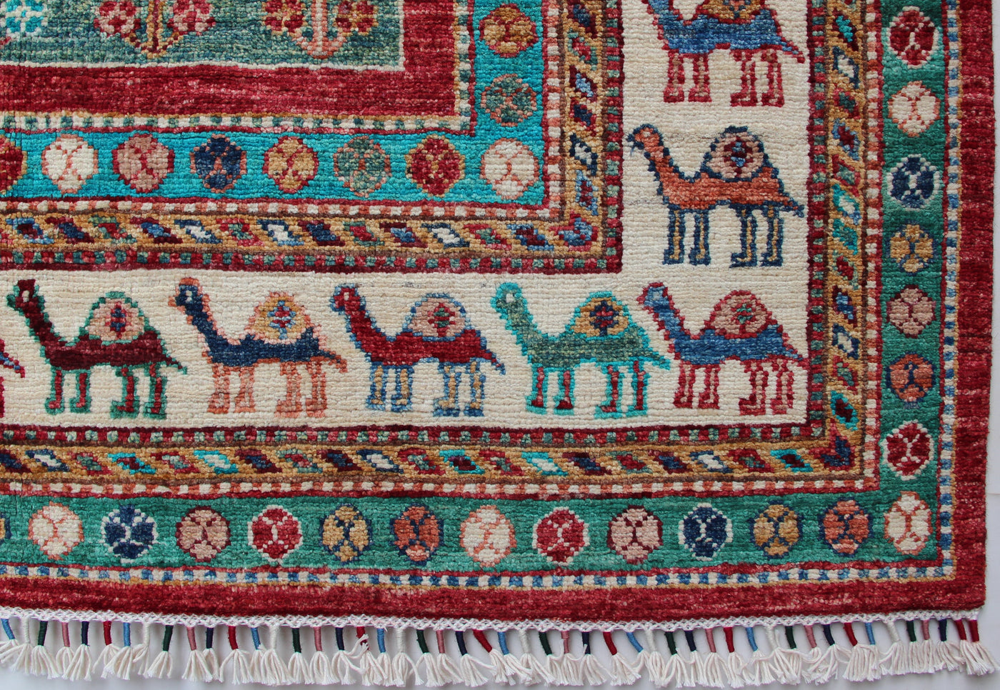AFGHAANS SHASAVAN