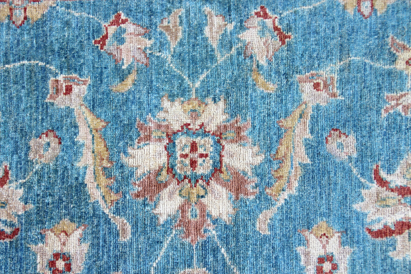 Samarkand Ziegler