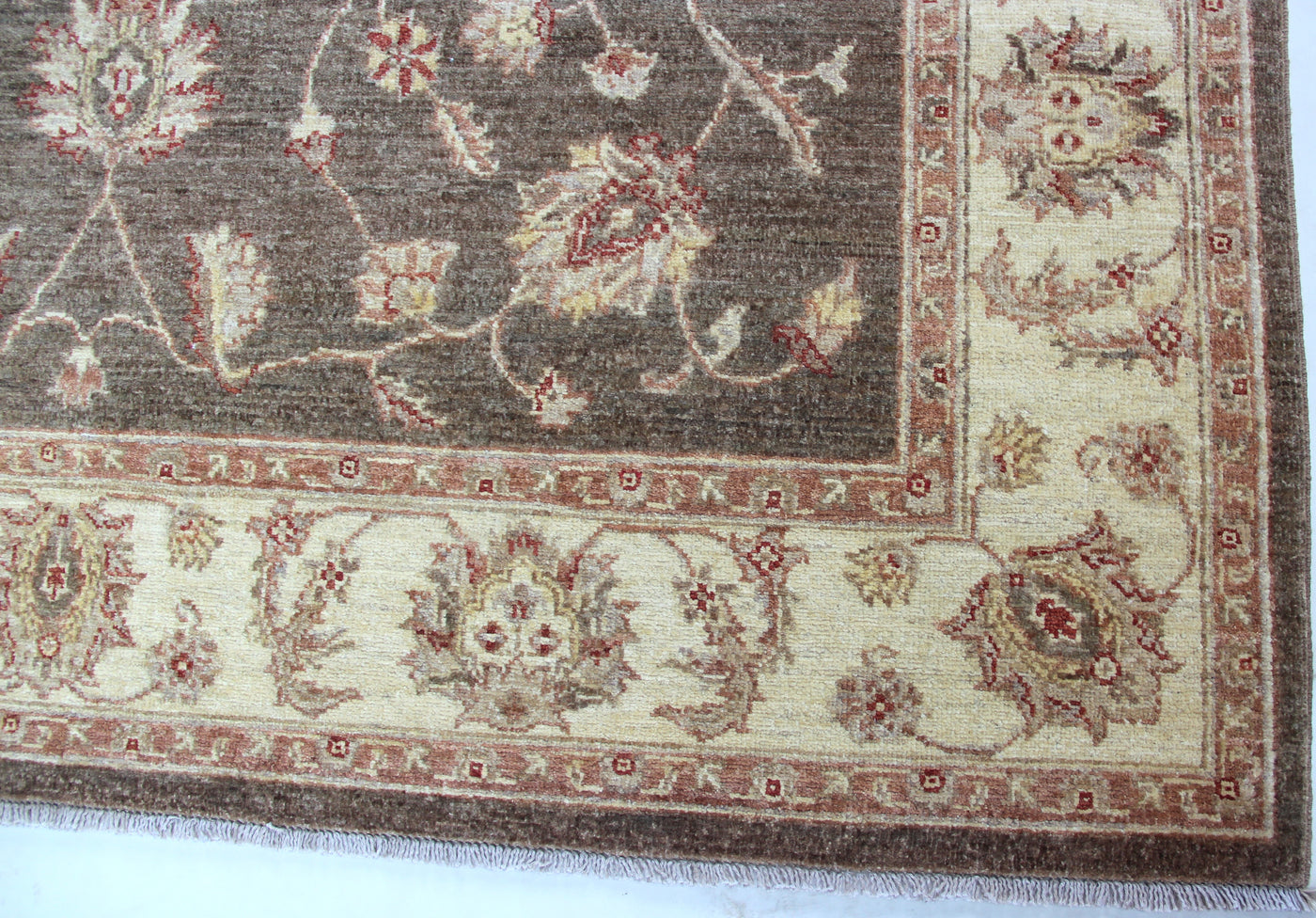 Samarkand Ziegler