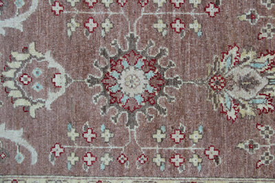 Afghaans Ziegler