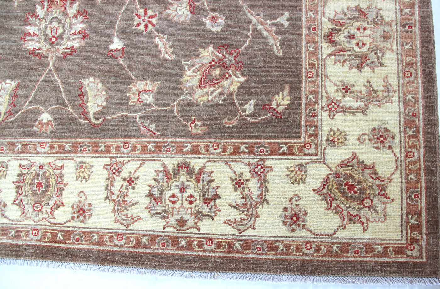Samarkand Ziegler