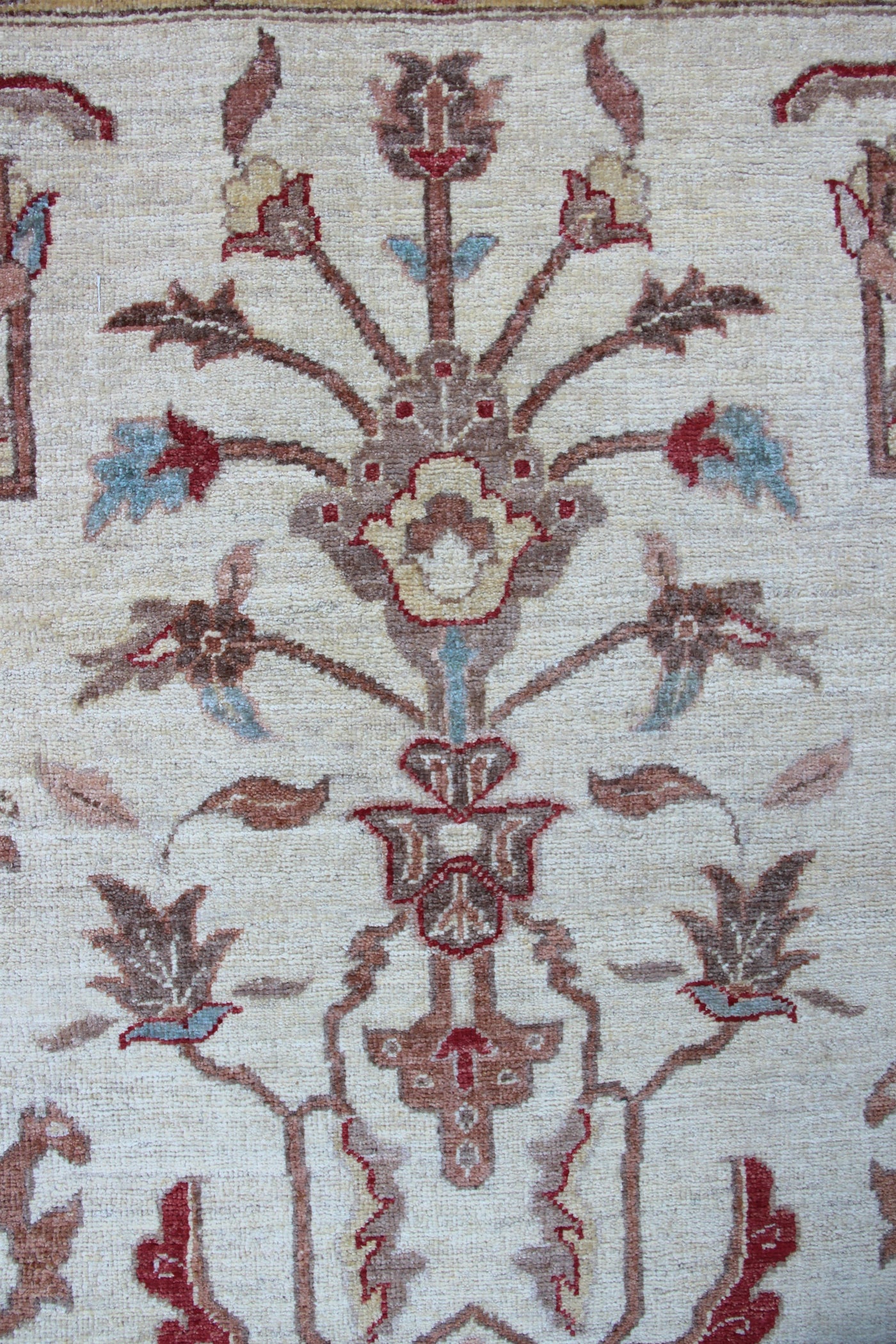 Samarkand Ziegler