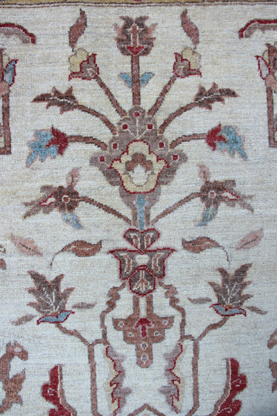 Samarkand Ziegler