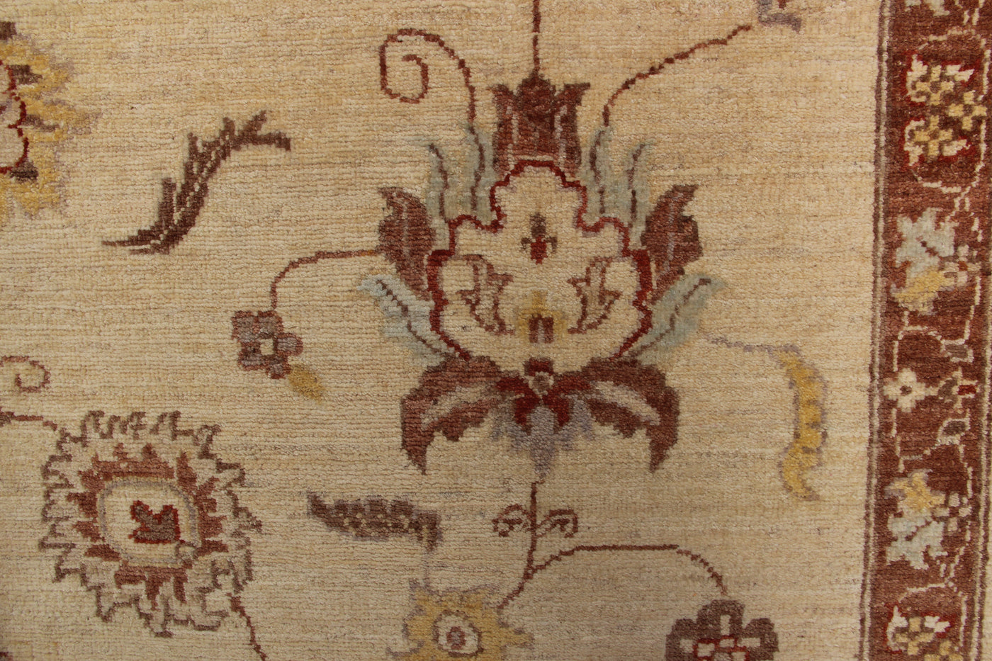 Afghaan Ziegler