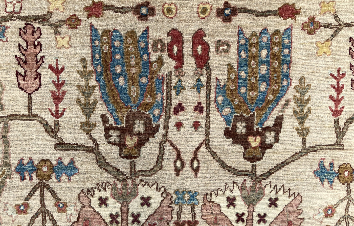 Samarkand Modern Ziegler